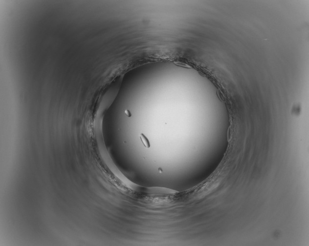 X0000097910384200803211510