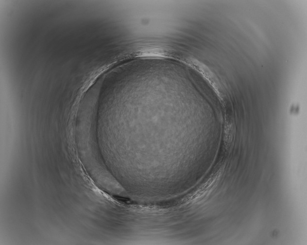 X0000097910385200803211509