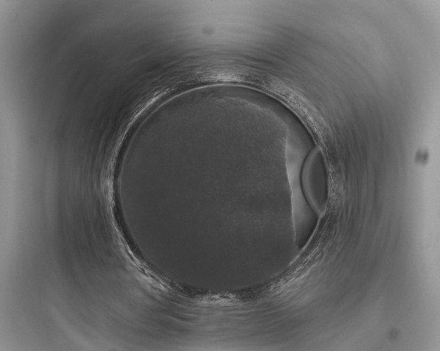 X0000097910386200803211509