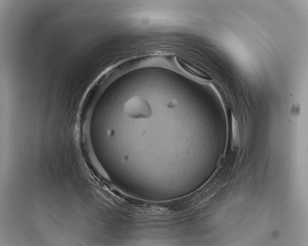 X0000097910387200803211509