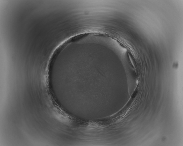 X0000097910388200803211509