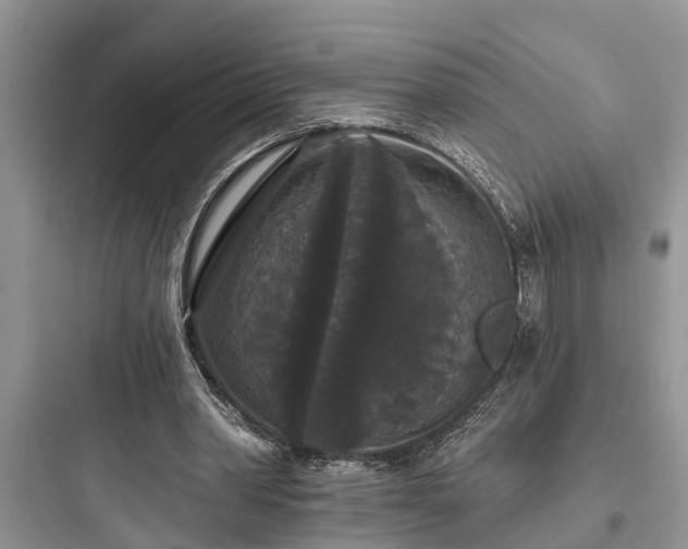 X0000097910390200803211509