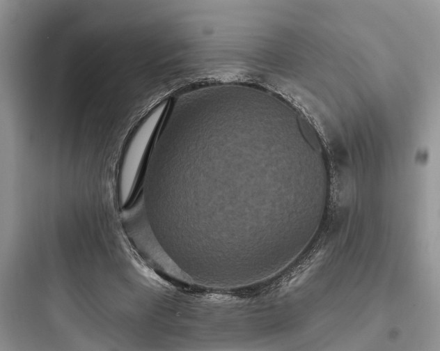 X0000097910393200803211509