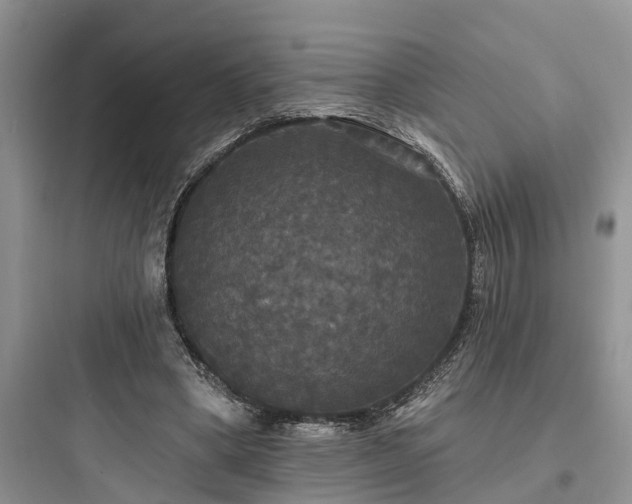 X0000097910394200803211509