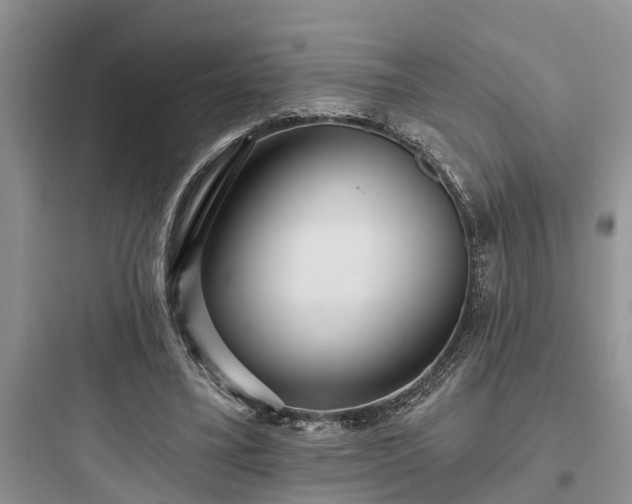 X0000097910395200803211509