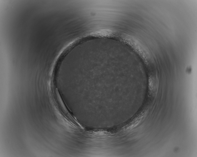 X0000097910396200803211509