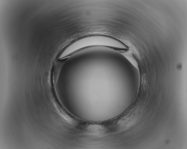 X0000097910397200803211509