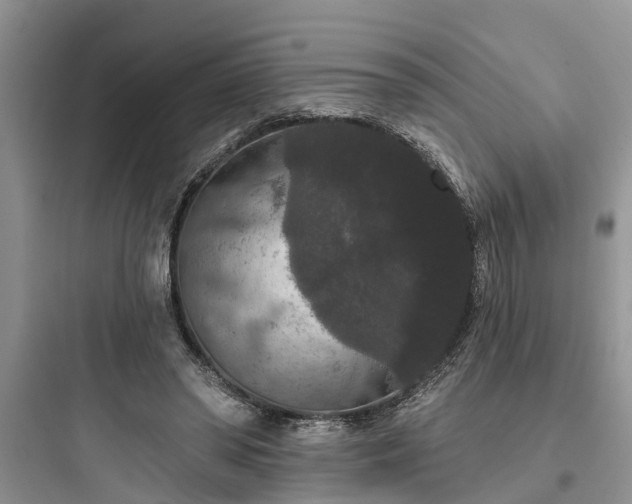 X0000097910398200803211509