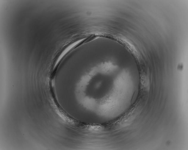 X0000097910401200803211509