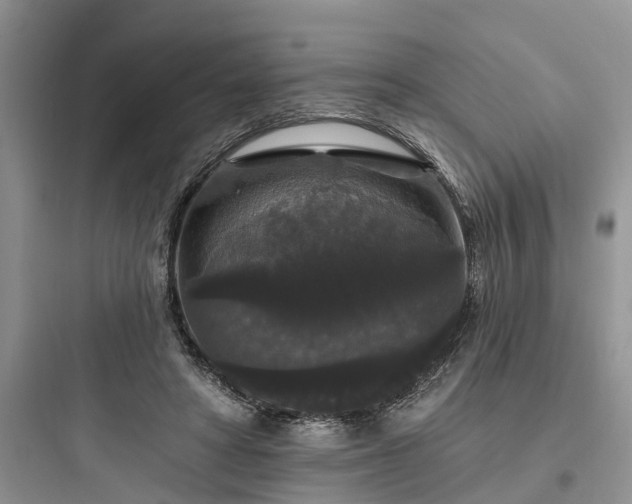 X0000097910402200803211509