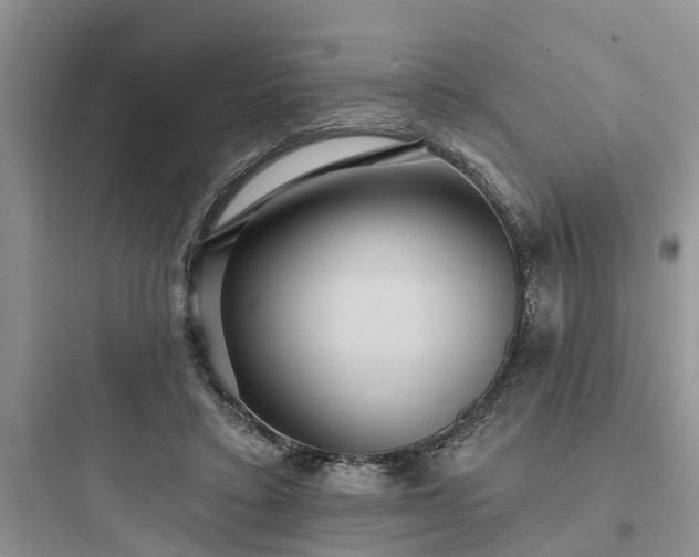 X0000097910403200803211509