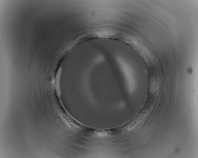 X0000097910405200803211509