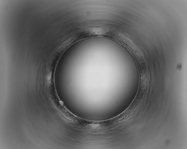 X0000097910406200803211509