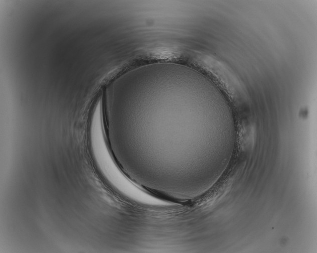 X0000097910407200803211509