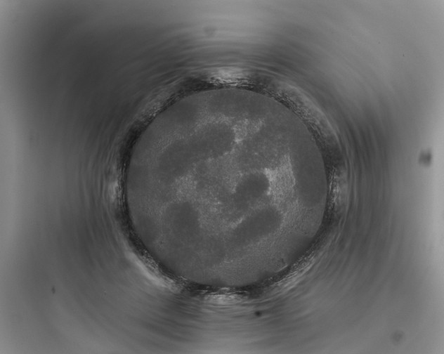 X0000097910408200803211509