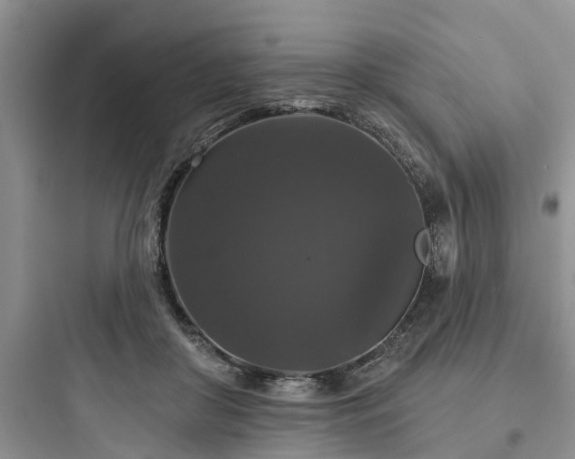 X0000097910410200803211509