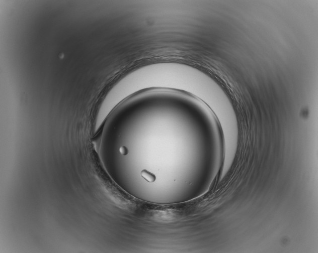 X0000097910411200803211509