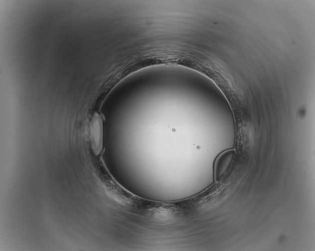 X0000097910412200803211509