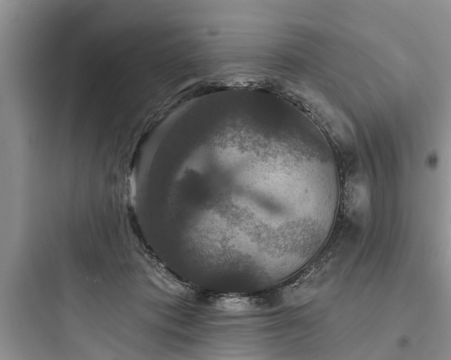 X0000097910413200803211509