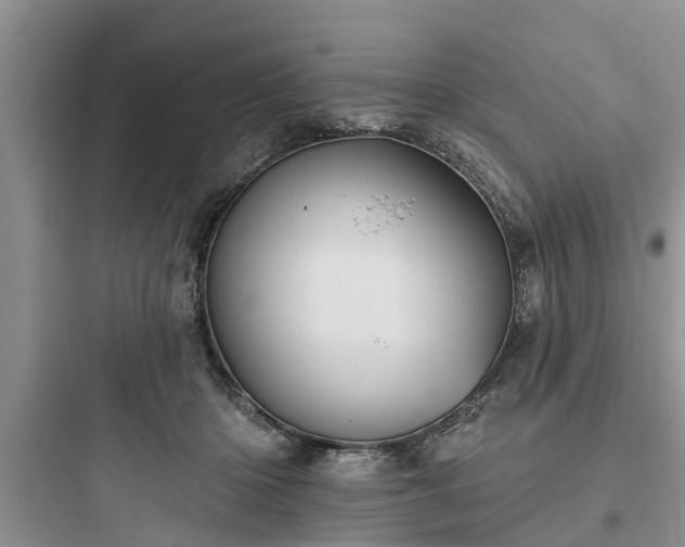 X0000097910414200803211509