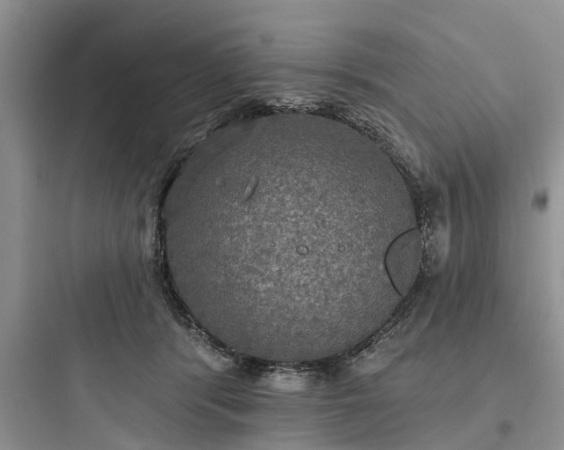 X0000097910416200803211509