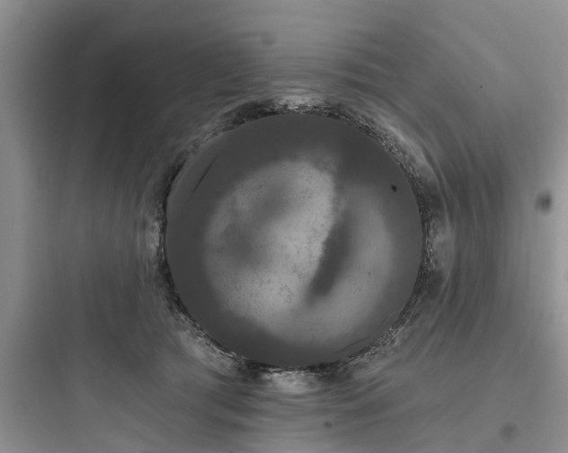 X0000097910417200803211509