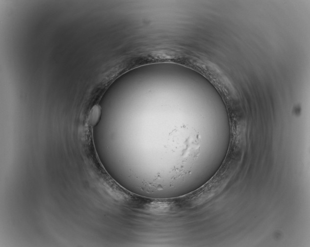 X0000097910418200803211509