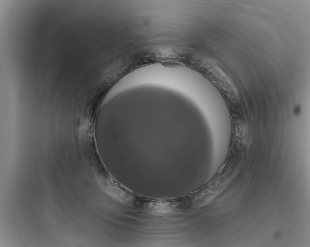 X0000097910419200803211509