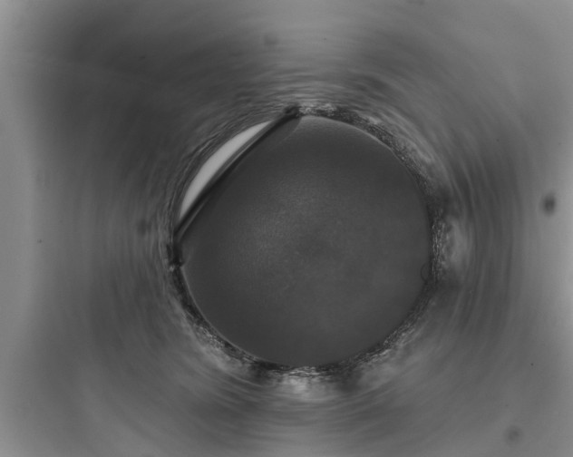 X0000097910420200803211509