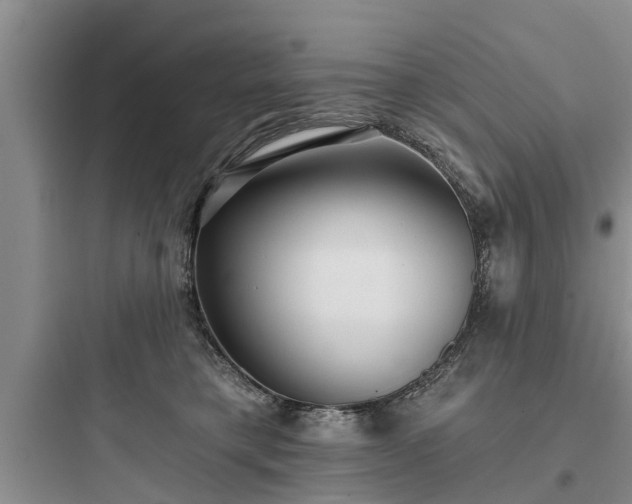 X0000097910421200803211509