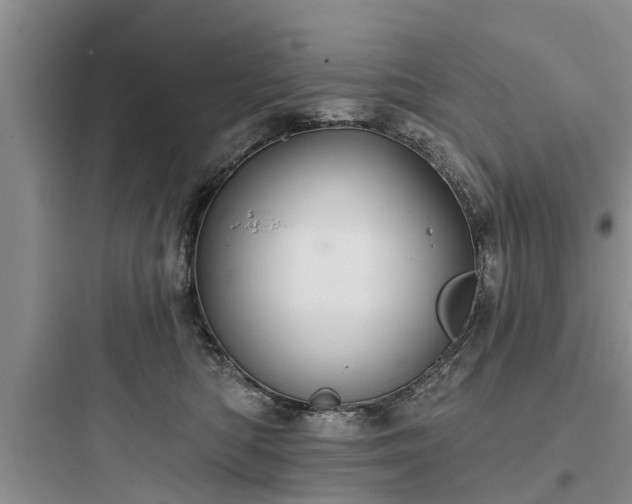 X0000097910422200803211509