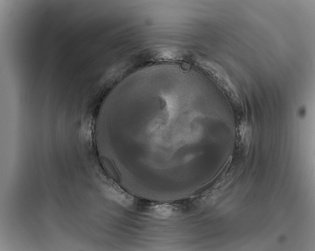 X0000097910423200803211509