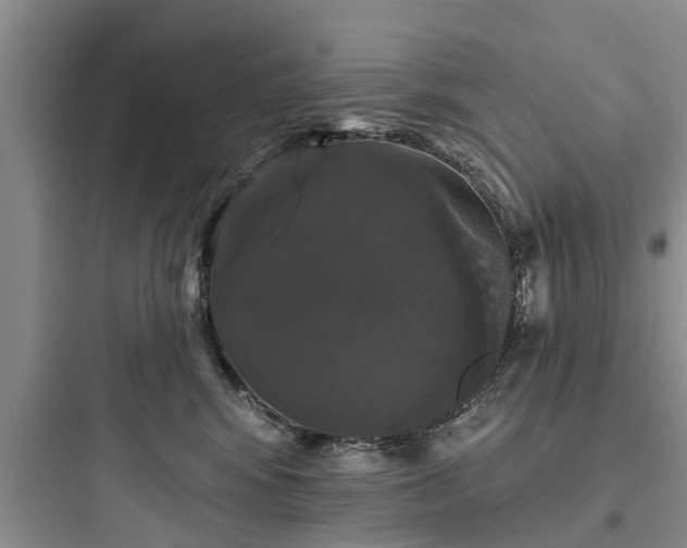 X0000097910424200803211509