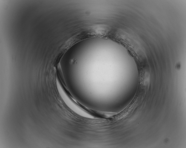 X0000097910425200803211509