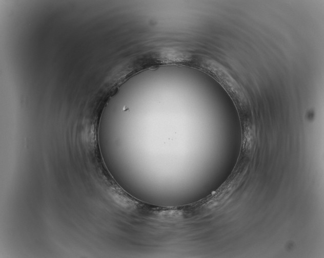 X0000097910426200803211509