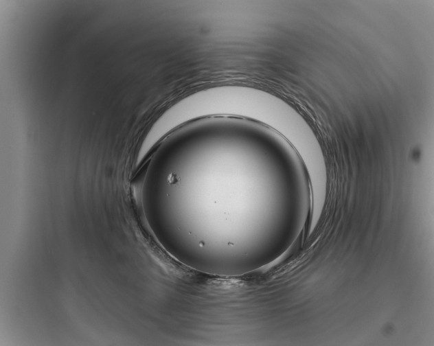 X0000097910427200803211509