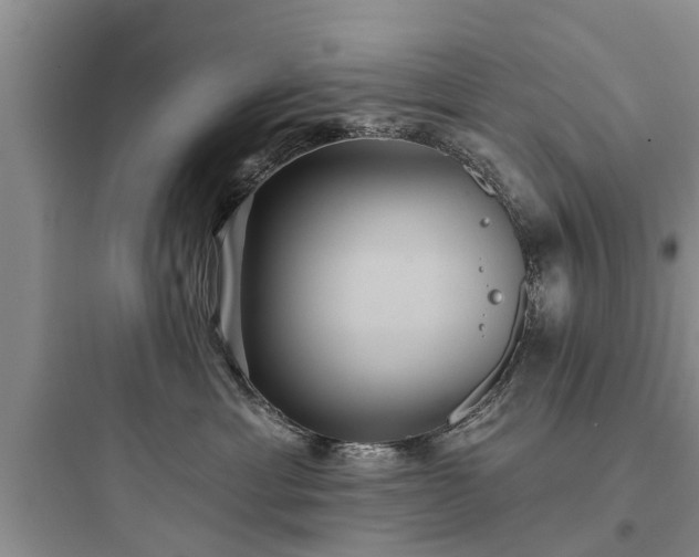 X0000097910429200803211509