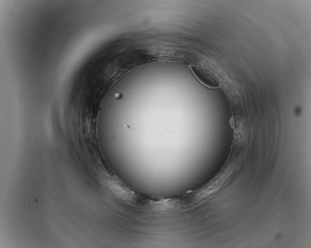 X0000097910430200803211509