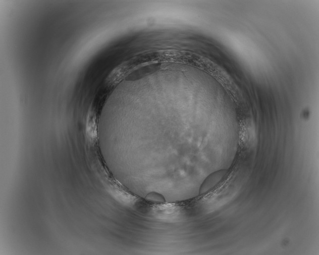 X0000097910431200803211509