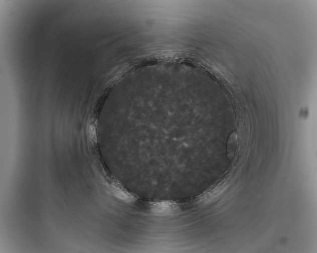 X0000097910432200803211509