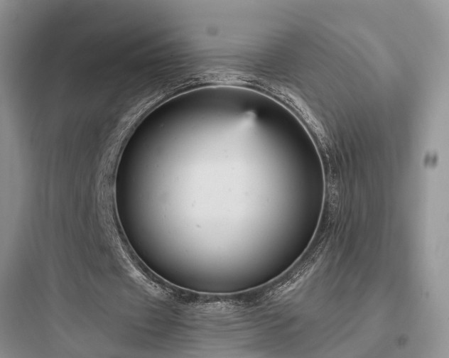 X0000097910433200803211508