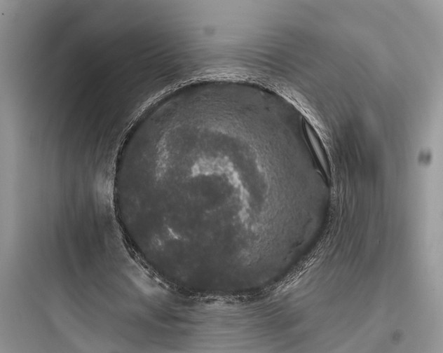 X0000097910434200803211508