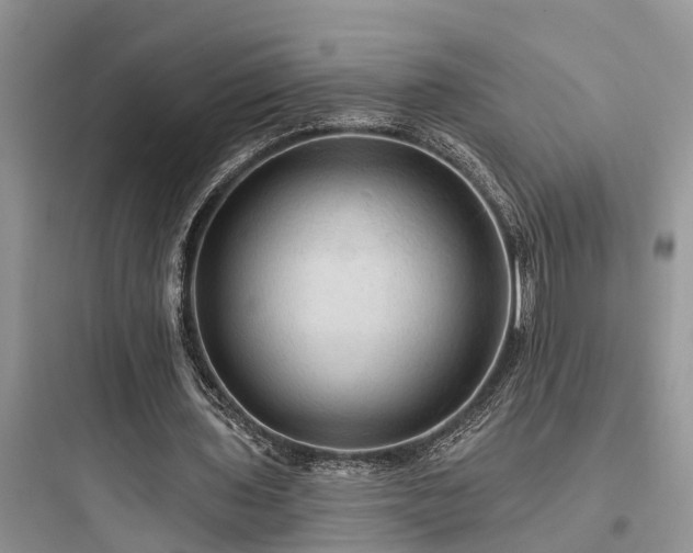 X0000097910435200803211508