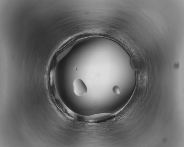 X0000097910436200803211508