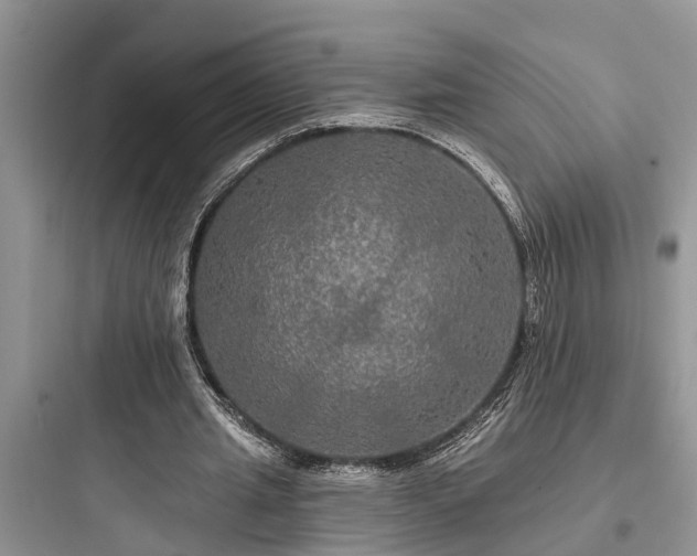 X0000097910437200803211508