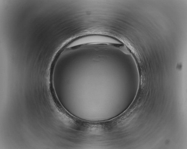 X0000097910438200803211508