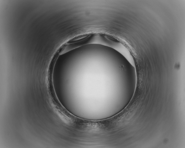 X0000097910439200803211508