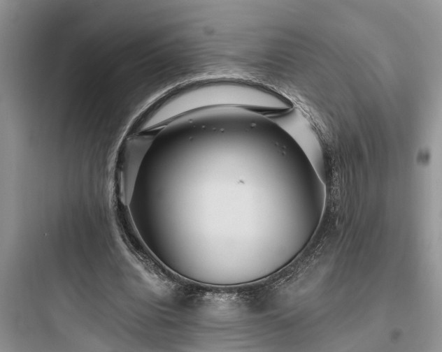 X0000097910440200803211508