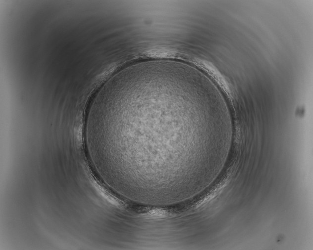 X0000097910441200803211508