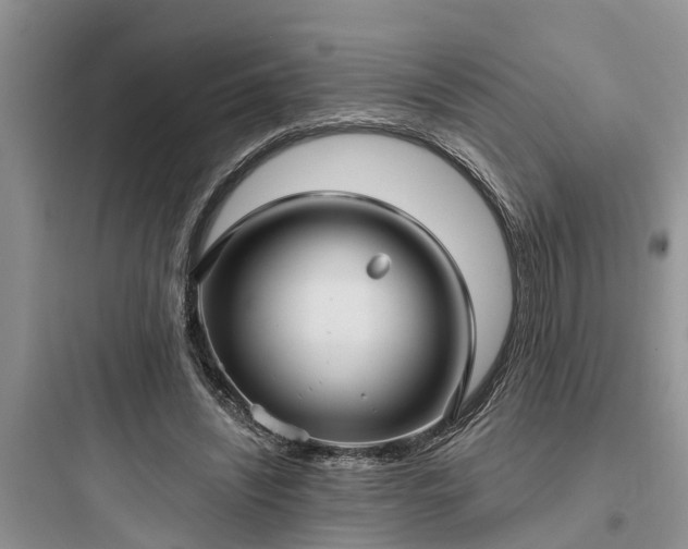 X0000097910444200803211508